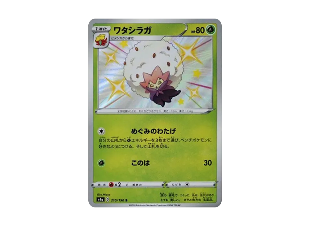ワタシラガ S[s4a 210/190](ハイクラスパック「シャイニースターV」)