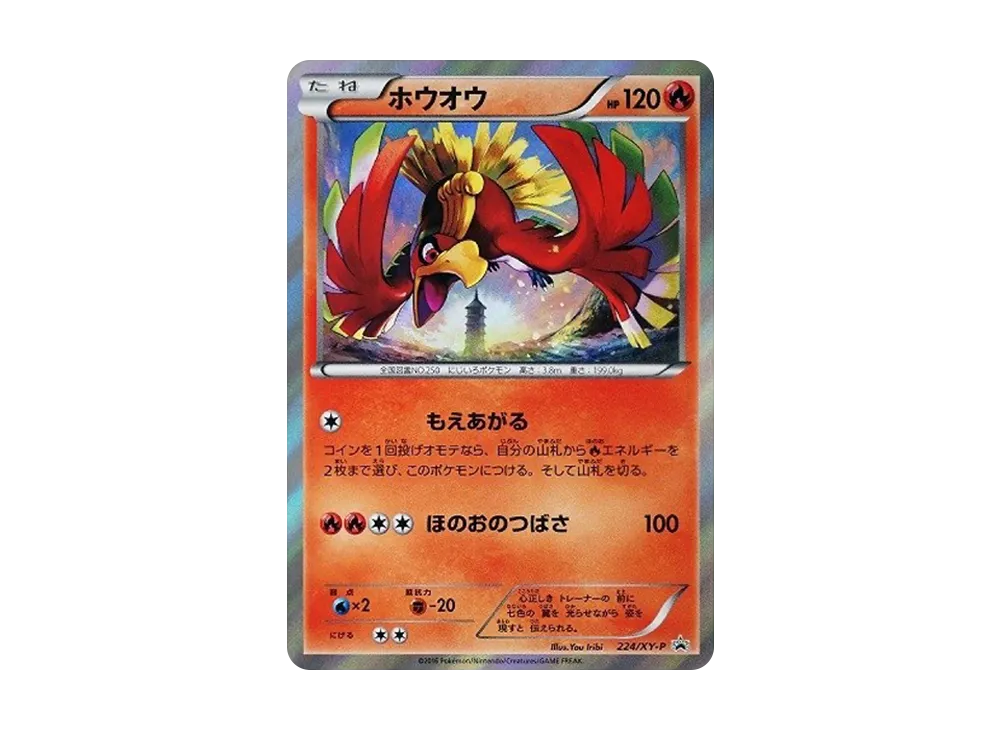 ホウオウ: プロモ[XY-P 224/XY-P](プロモーションカード「XY-P」)