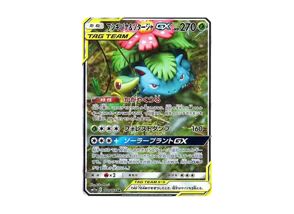 フシギバナ&ツタージャGX SR: SA[SM11a 066/064](強化拡張パック「リミックスバウト」)