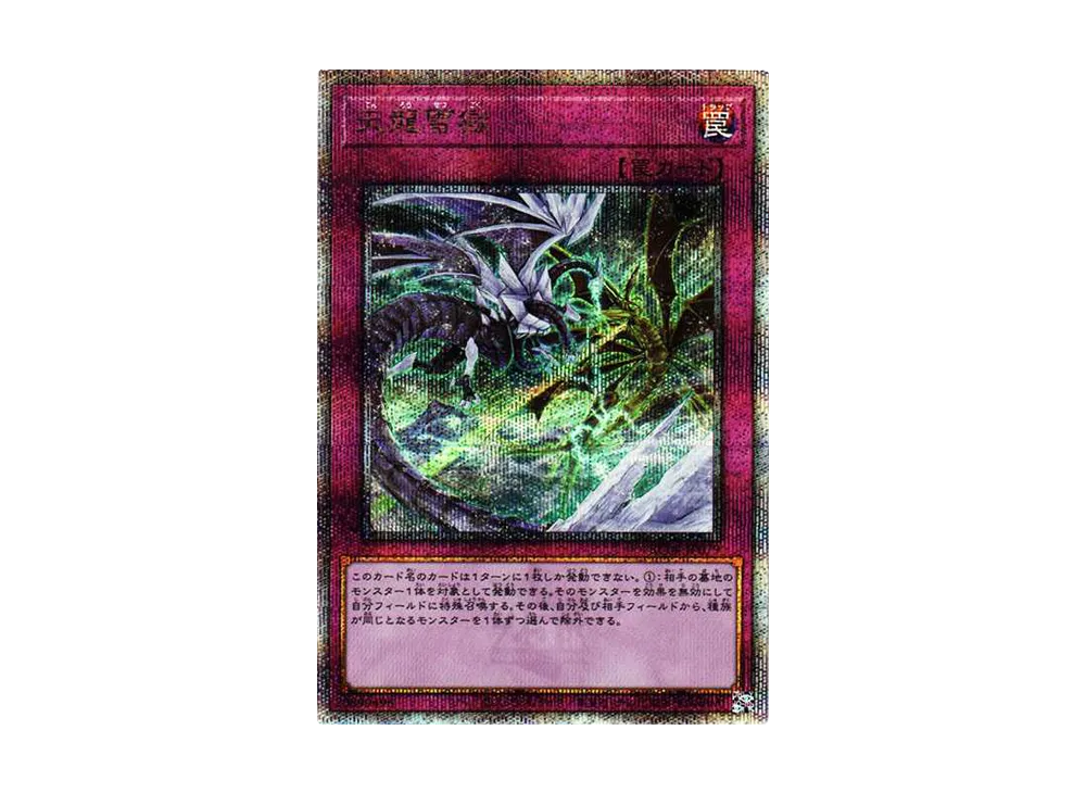天龍雪獄 25th SE[RC04-JP079](レアリティコレクション クォーターセンチュリーエディション)