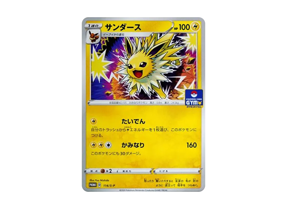 サンダース: プロモ P [S-P 114](ポケモンカードゲーム ソード&シールド 「プロモカードパック 第4弾」)