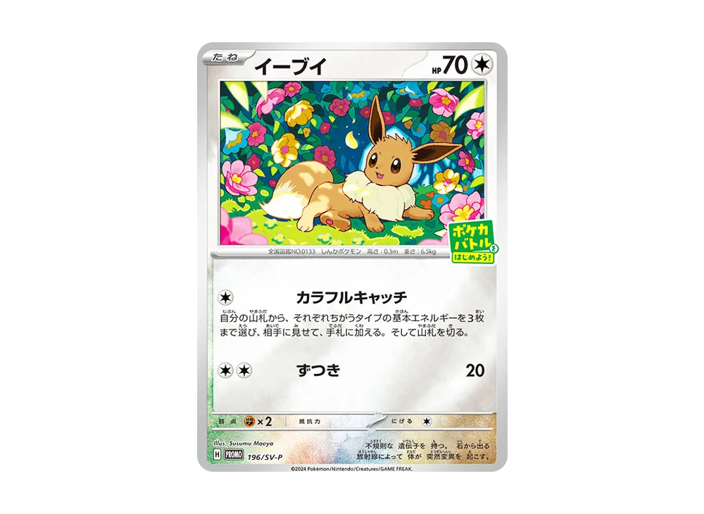 イーブイ P [SV-P-SM 196](プロモカードパック「ポケカバトルをはじめよう！キャンペーン」)