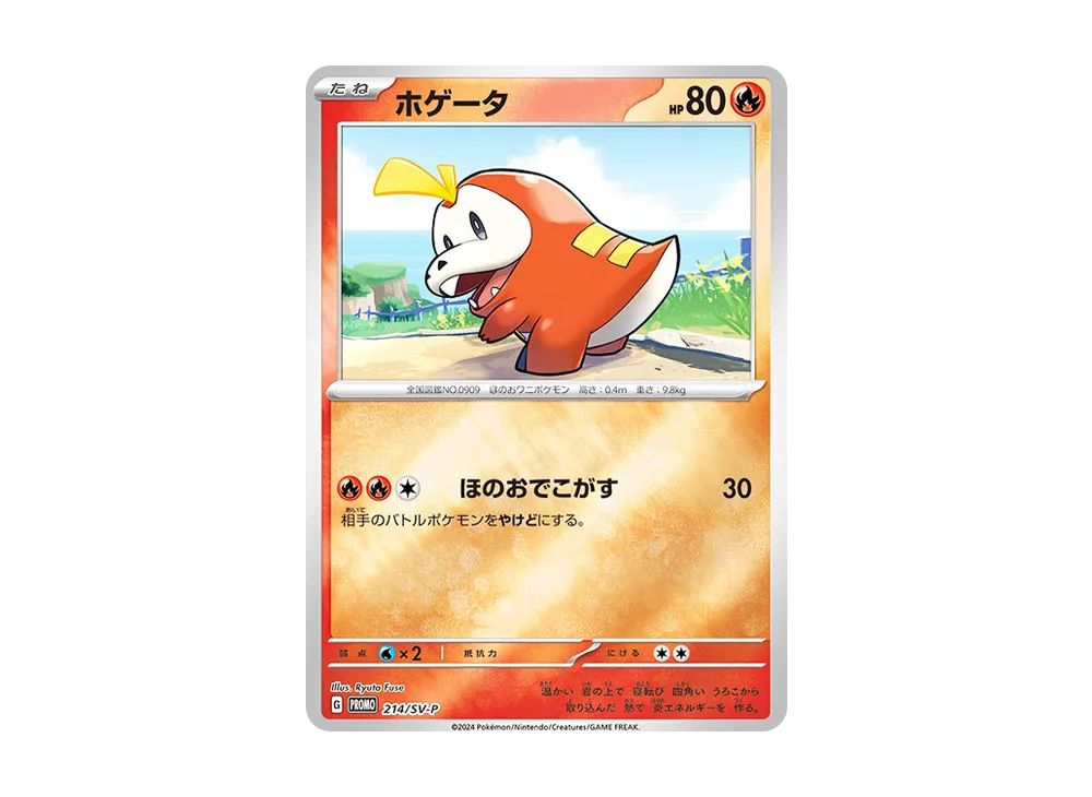 ホゲータ P [SV-P 214](プロモカードパック「ポケカの夏がキタ！プロモカードGetキャンペーン！」)