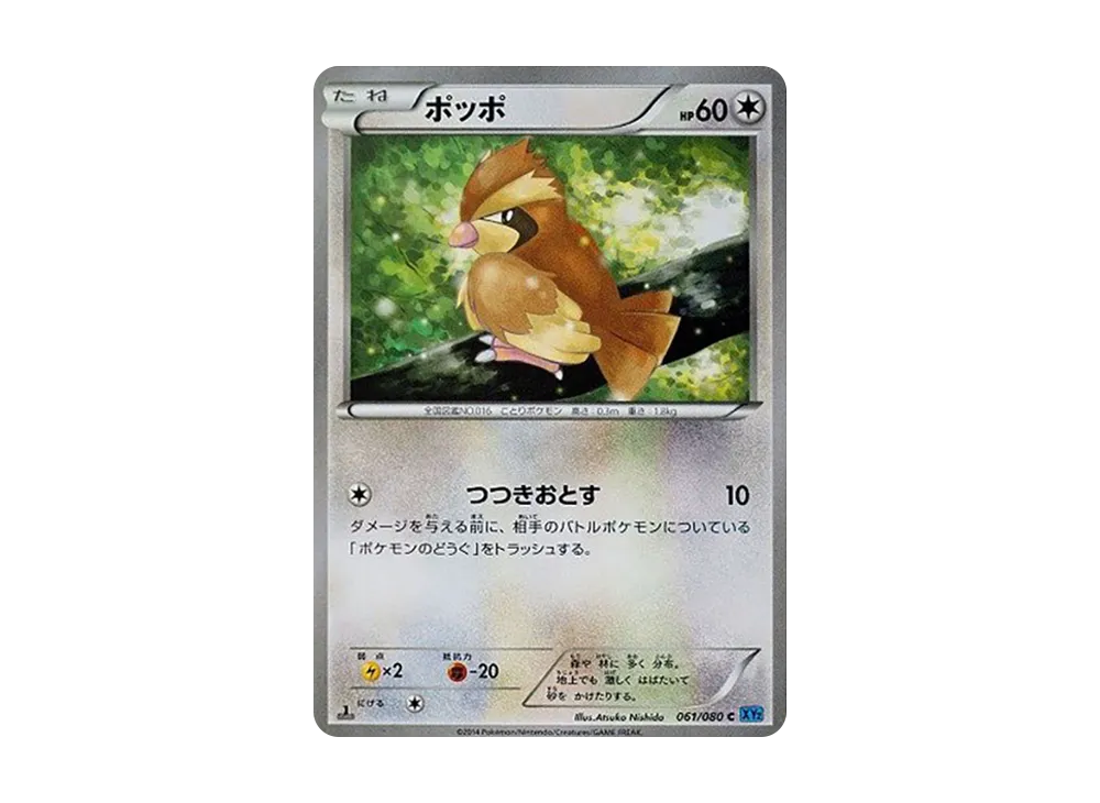 ポッポ C :1ED [XY2 061/080](拡張パック「ワイルドブレイズ」)