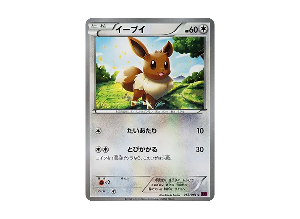 イーブイ C [XY7 063/081](拡張パック「バンデットリング」)