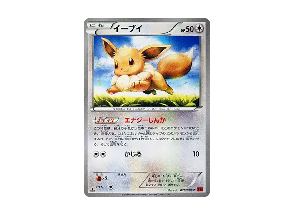イーブイ C :1ED [XY3 075/096](拡張パック「ライジングフィスト」)