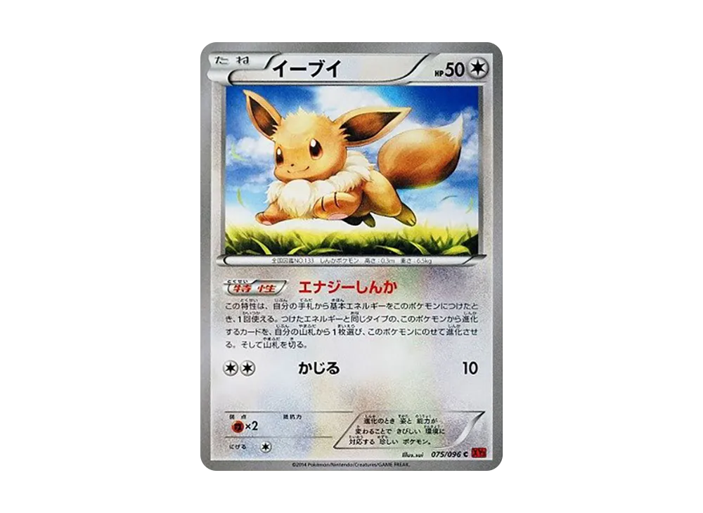 イーブイ C [XY3 075/096](拡張パック「ライジングフィスト」)