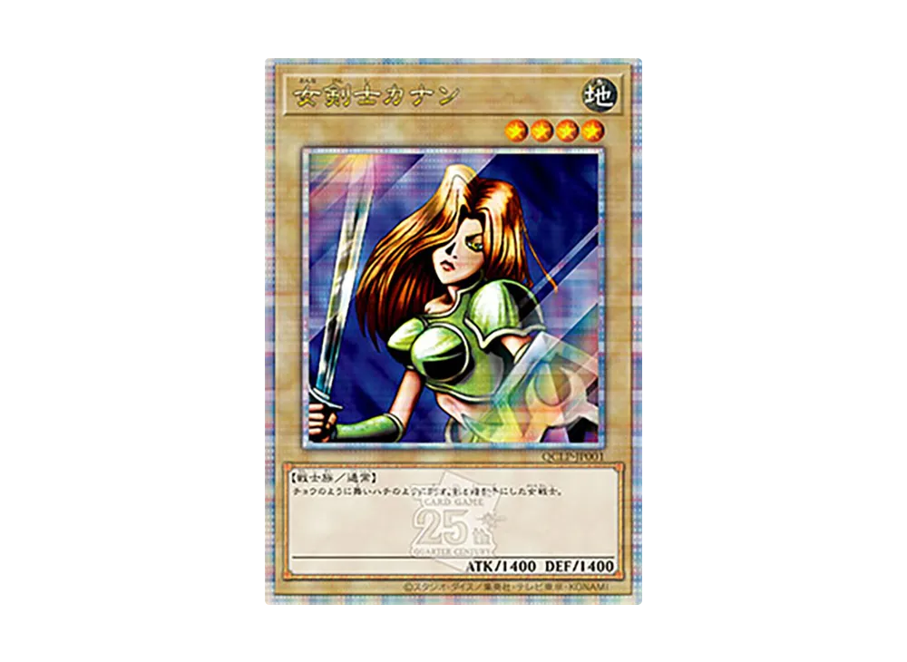 女剣士カナン 25th SE [QCLP-JP001](クォーター・センチュリー・リミテッド・パック)