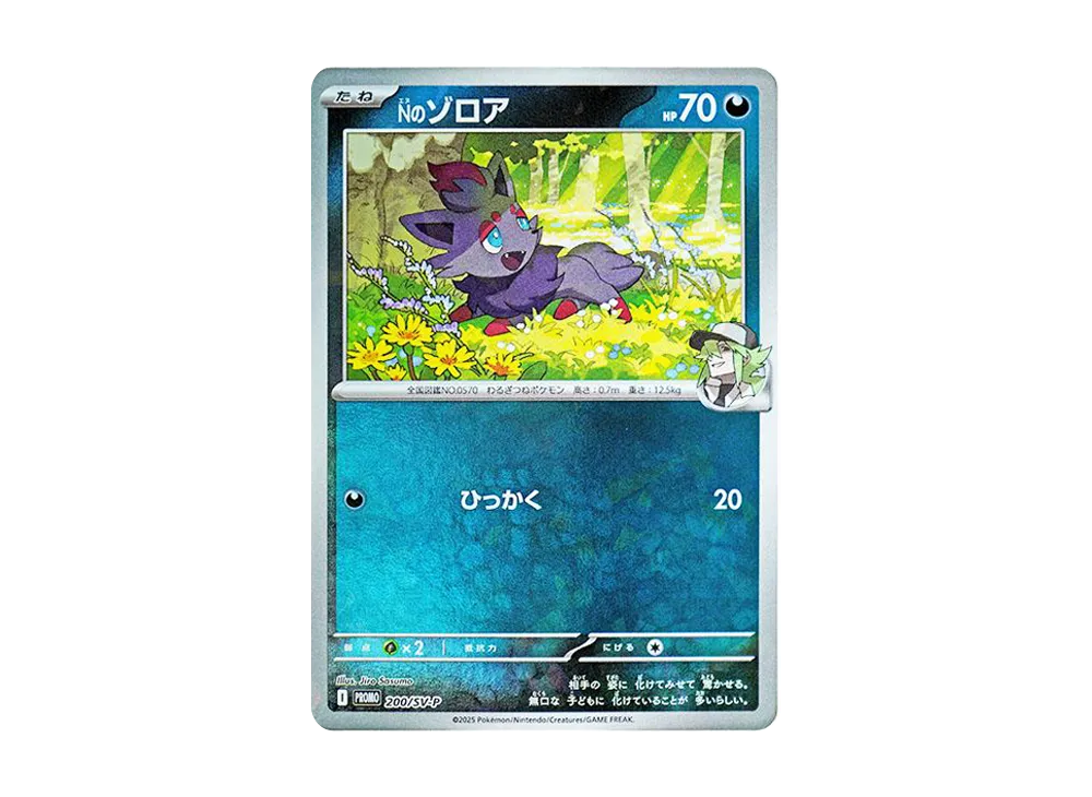 Nのゾロア P [SV-P 200](プロモーションカード「コレクションファイルセット N」)