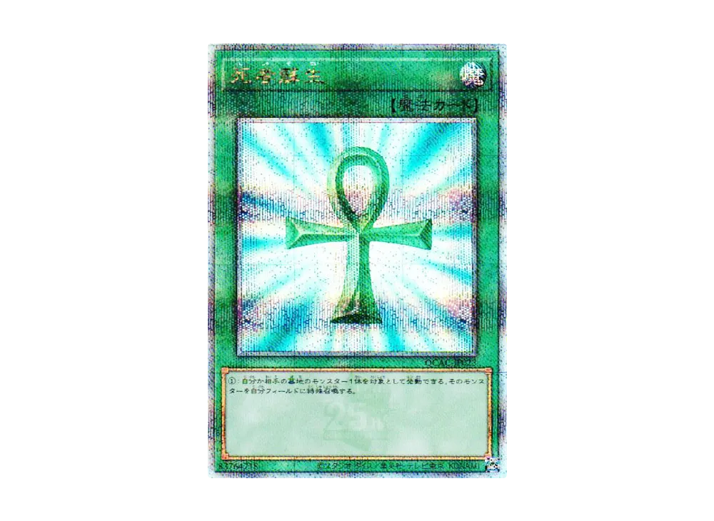 死者蘇生 25th SE [QCAC-JP023](クォーター・センチュリー・アート・コレクション)